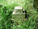 image of grave number 219629